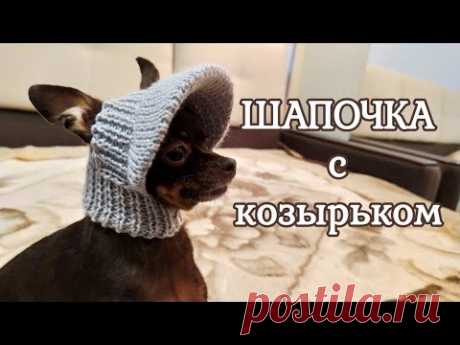 Шапочка с козырьком для собак мелких пород