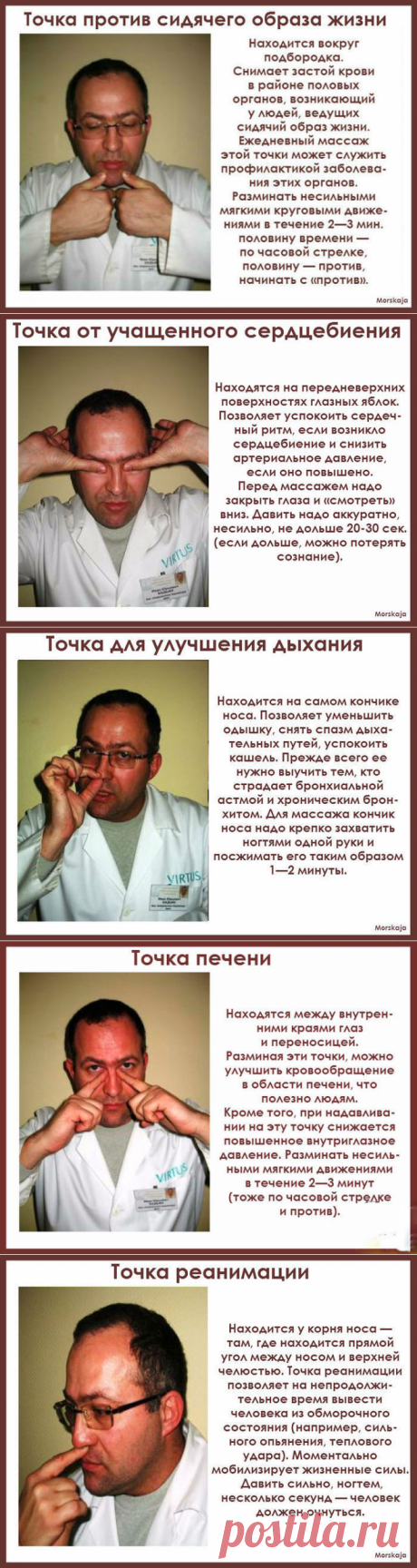 МАССАЖ ПО ТОЧКАМ-Биология