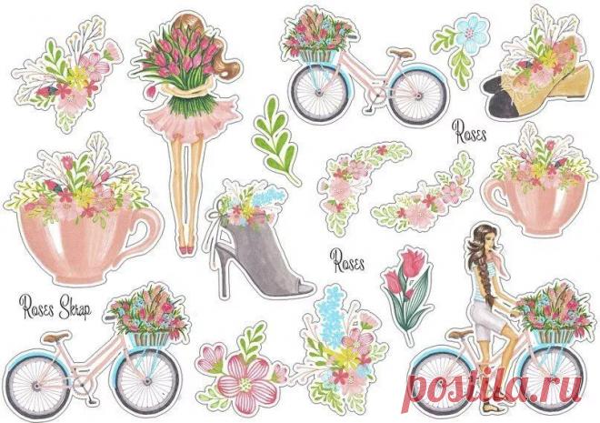 c57d8eb903de81abf894225c8cbb3897.jpg (807×569)