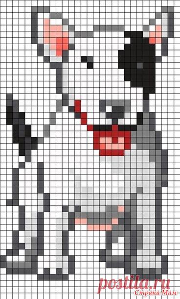 Собаки для 2018 - Жаккард - Страна Мам