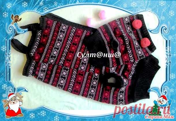 ВЯЗАНЫЙ НАРЯД ДЛЯ БАССЕТ ХАУНДА - Гардероб для наших любимых питомцев (собак, кошек) - Страна Мам