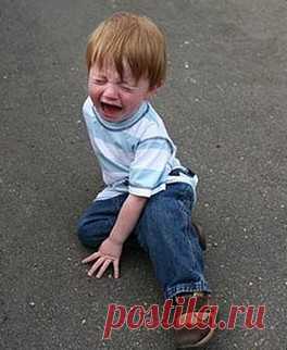 Детская территория. Без слез и истерик. Детский сад