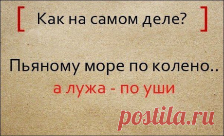 Народная мудрость