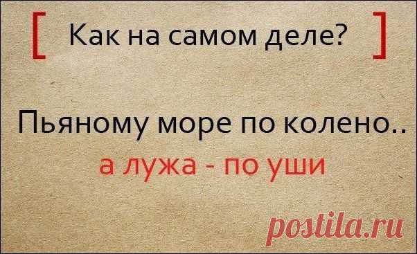 Народная мудрость