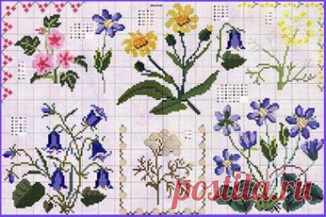 Мотивы для вышивки &quot;Полевые цветы&quot; | Искусница