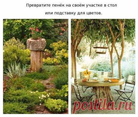 Креативные решения для дачи