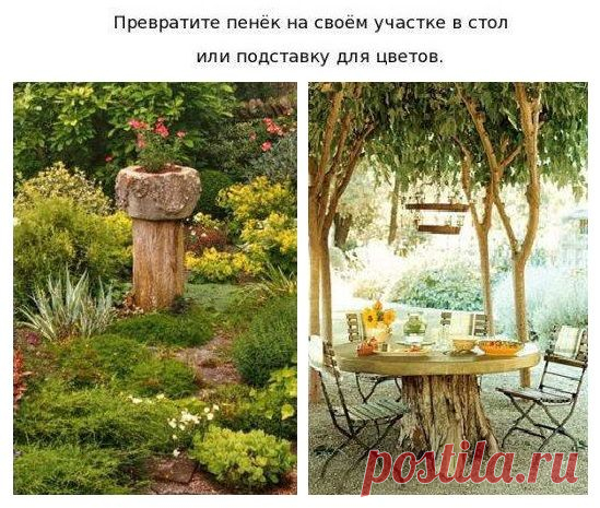 Креативные решения для дачи