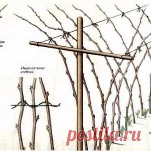 Новости - МирТесен
