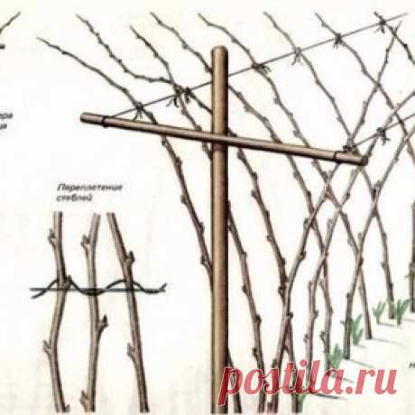 Новости - МирТесен
