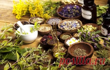 Интересные факты - о пользе трав