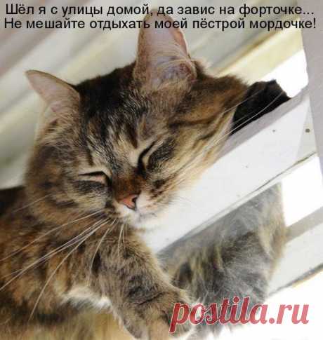Интересные новости