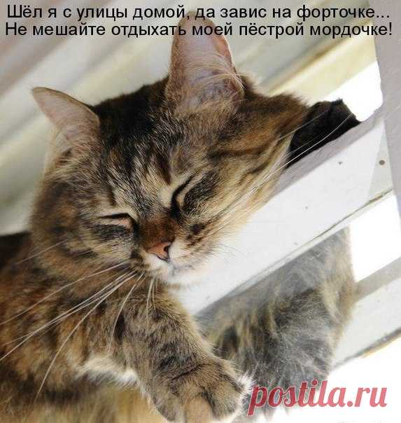 Интересные новости