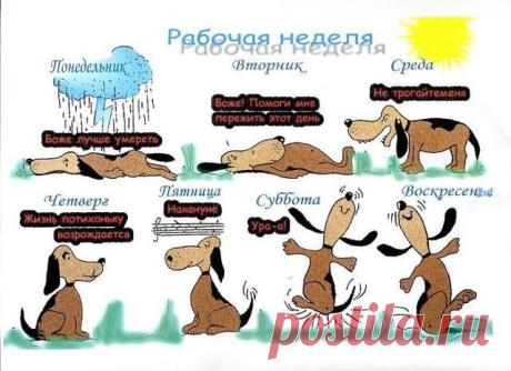 А как у вас проходит неделя?