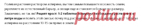 Незаменимый помощник в быту: как аспирин может помочь здоровью сада и огорода