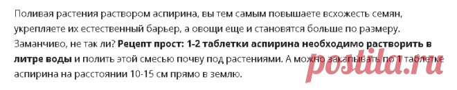 Незаменимый помощник в быту: как аспирин может помочь здоровью сада и огорода
