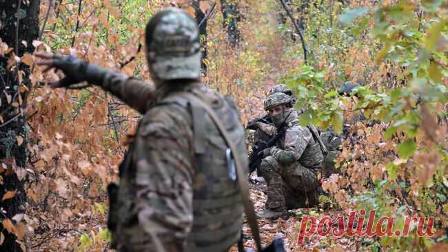 Минобороны рассказало о потерях ВСУ за сутки в зоне действий "Днепра"