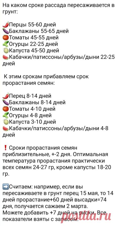898e95e5cfec44397f032713f40dd926.jpg (881×1708)