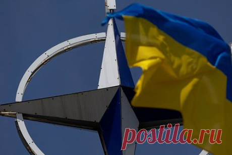 Названо условие для членства Украины в НАТО. Для членства в НАТО Украина должна одержать победу в конфликте с Россией. Такое условие назвал экс-посол США на Украине Уильям Тейлор. По словам дипломата, пока же лидеры Североатлантического альянса думают над тем, чтобы предоставить Киеву приглашение начать переговоры о членстве.