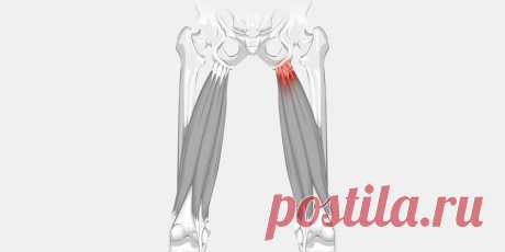 Подколенное сухожилие. Боль и триггерные точки Статья автора «Йога для начинающих для здоровья» в Дзене ✍: Триггерные точки в подколенном сухожилии могут вызывать боль и дискомфорт в задней части бедра.
