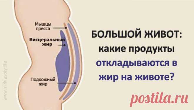 Большой живот: какие продукты провоцируют образование жира вокруг талии? 
Иметь стройную фигуру и тонкую талию хочется каждой женщине. Вот только порой представительницы прекрасного пола и правильно питаются, и диеты соблюдают, и режима дня придерживаются, а ненавистный жи…