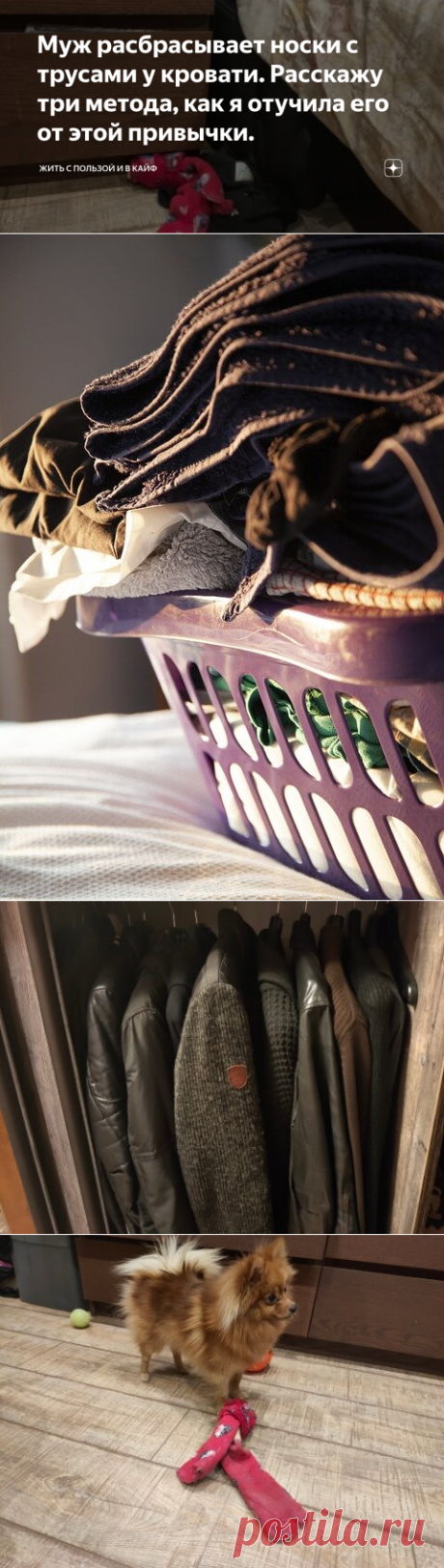 Муж расбрасывает носки с трусами у кровати. Расскажу три метода, как я отучила его от этой привычки. | Жить с пользой и в кайф | Яндекс Дзен