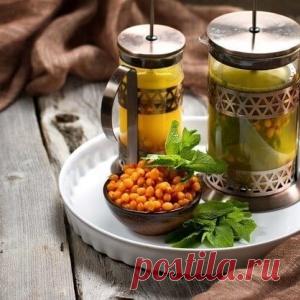 Чай из веток деревьев: полезные свойства и приготовление