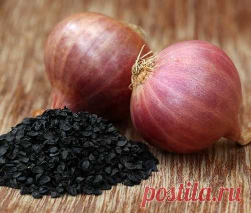 Лук из семян. Как получить урожай за один сезон