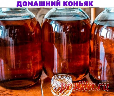 ДОМАШНИЙ КОНЬЯК - ОТЛИЧНАЯ ЗАГОТОВКА НА ЗИМУ
Ингредиенты на 3 литра водки (или самогончика)):
горсть шиповника
горсть боярышника
1 столовая ложка коры дуба
5-6 веточек зверобоя
10 шт. гвоздики (без шариков)
пакетик чая
3 столовые ложки сахара
РЕЦЕПТ ПРИГОТОВЛЕНИЯ:
Засыпать все ингредиенты в банку с водкой. Поставить в темное прохладное место, пробовать можно уже через три недели, но чем дольше - тем лучше. Через 3-4 месяца его не отличить от настоящего.