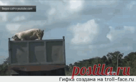 Google+