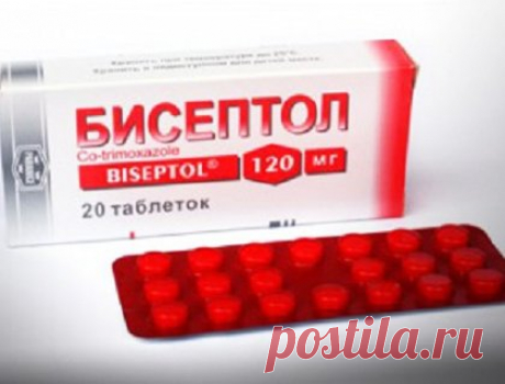 Опубликовано единственное видео реального боя Брюса Ли | Golbis