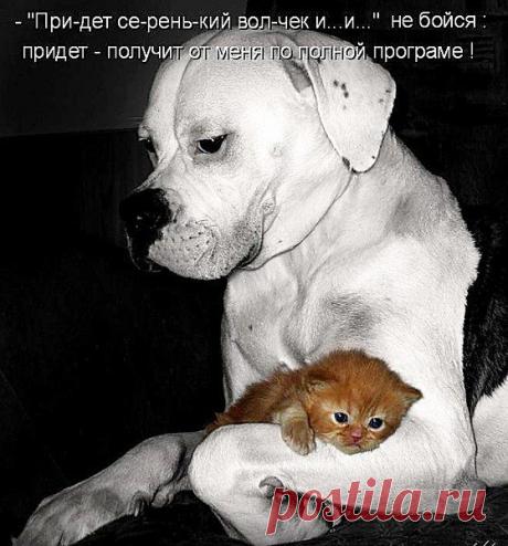 Голосование Мисс/Мистер