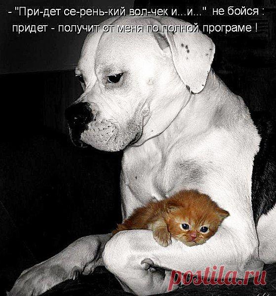 Голосование Мисс/Мистер