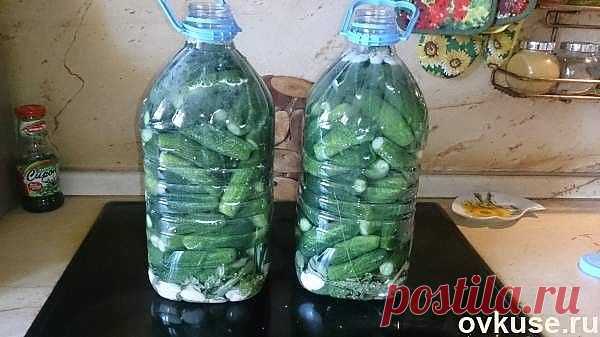 Соленые огурцы (как из бочки) в пластиковой бутылке