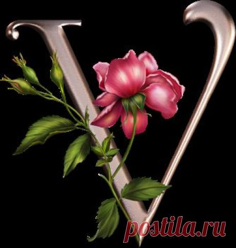 Плейкаст «С днем свадьбы!»