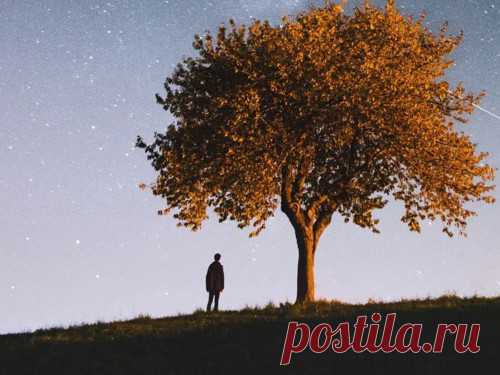 9 мудрых истин о зависти, обидах и саморазрушении Мудрость — это не только понимание того, где и как находить удачу и позитив. Это еще и умение принимать своих внутренние проблемы, а также бороться с ними. Эксперты рассказали подробнее про зависть, обиды и их негативные последствия.