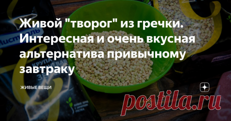 Живой "творог" из гречки. Интересная и очень вкусная альтернатива привычному завтраку Интересный способ приготовить завтрак из пророщенной гречки