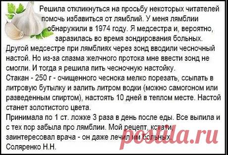 Лямблии не любят чеснока