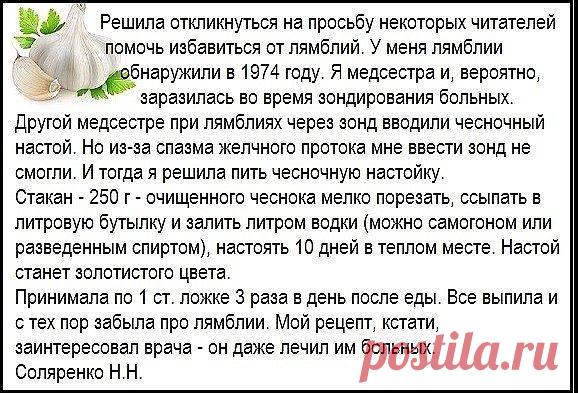 Лямблии не любят чеснока