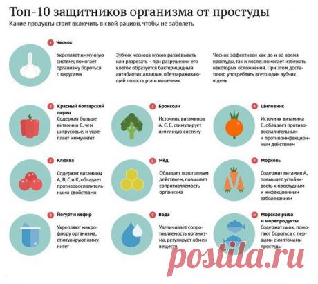 ТОП-10 защитников организма от простуды

В зимний период необходимо включить в свой рацион определённые продукты, чтобы избежать простуды:
* чеснок, 
* красный болгарский перец, 
* клюкву, 
* кефир и натуральный йогурт, 
* брокколи, 
* мёд, 
* шиповник, 
* морковь, 
* морскую рыбу и морепродукты, 
* также не стоит забывать про норму потребления очищенной воды.