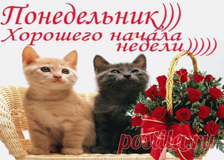 Красивые картинки с Понедельником | Открытки бесплатно
