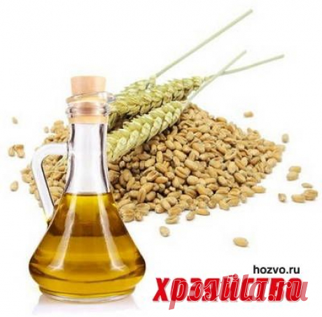 Рецепты красоты с маслом зародышей пшеницы