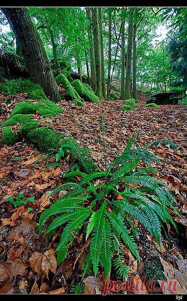 без комментариев