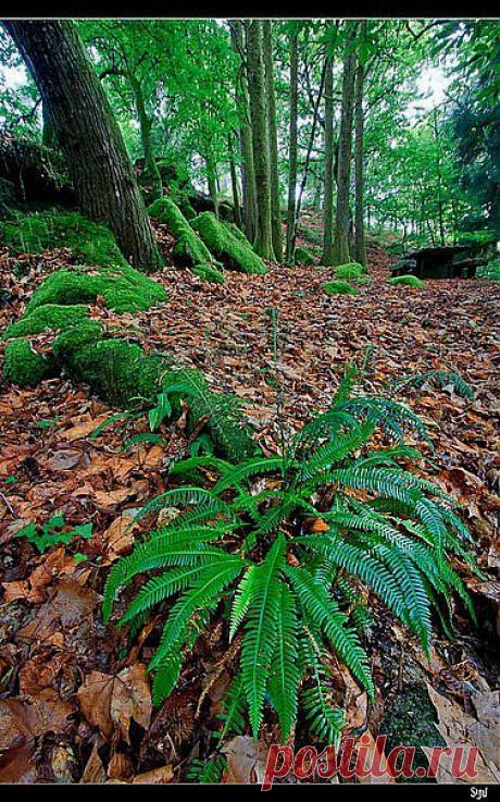 без комментариев