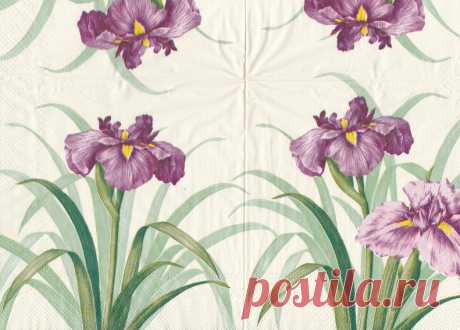 салфетки для декупажа ирисы - Поиск в Google