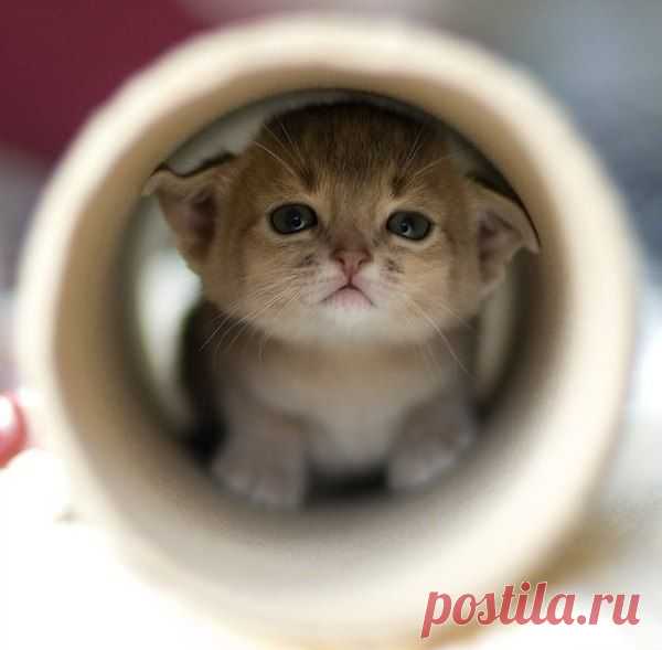Интересные новости