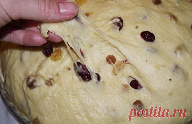 Венское тесто, душистое, любимое! Готовлю опару с вечера, а утром замешиваю тесто и выпекаю