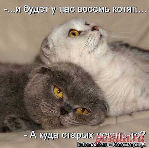 Мой Мир@Mail.Ru
