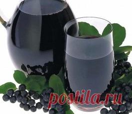 Черноплодная рябина чемпион по аскорбинке