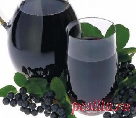 Черноплодная рябина чемпион по аскорбинке