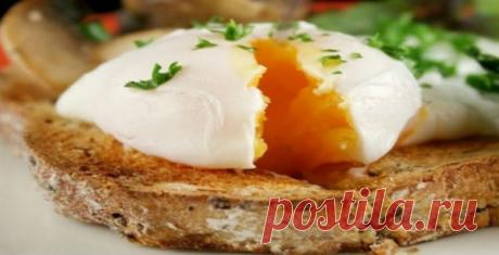 9 продуктов, которые буквально съедают твой жир! • Сияние Жизни